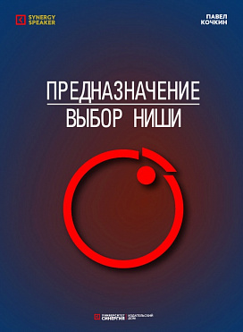 Предназначение. Выбор ниши